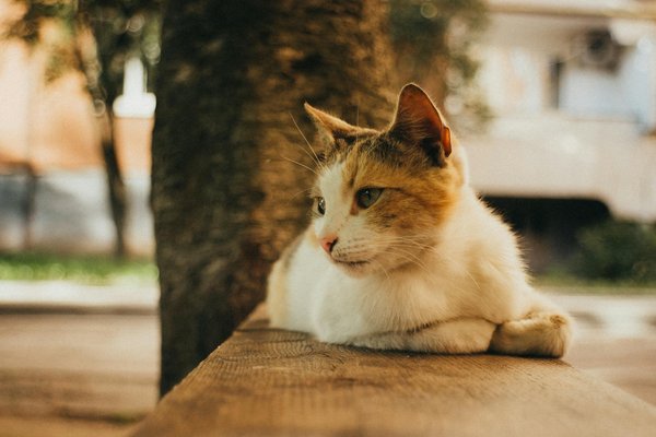 How Might Recent UK Events Shape Future Political Landscapes?